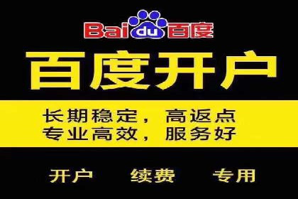 深度解析百度推广代运营公司的成功策略与技巧